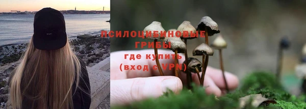 бутират Козловка